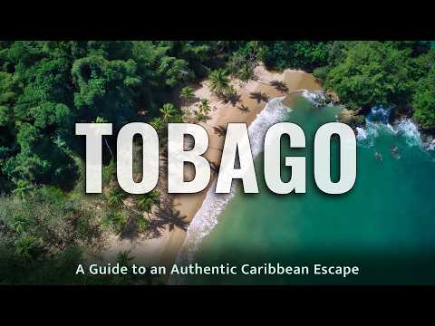 Tobago | A Laid Back Caribbean Paradise