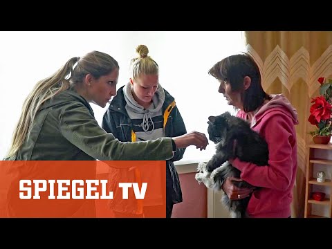 Die Tier-Retterinnen: Wenn Hund und Katz in Not sind | SPIEGEL TV