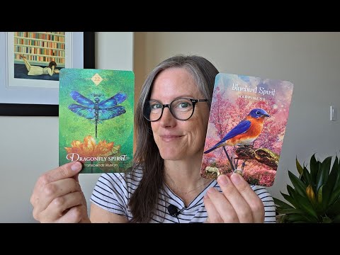 you've moved into a higher vibrational frequency.. you were meant to find this now!