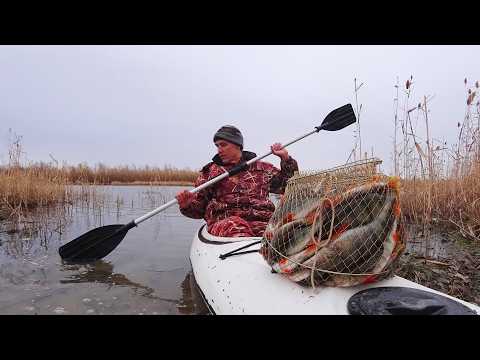 ТОННА РЫБЫ, АЖ ВЫЛЕТАЕТ. ЛОВИ РУКАМИ, ОКУНЯ ТЬМА. ТАКОГО НЕ БЫЛО. Рыбалка на зимнюю удочку с каяка