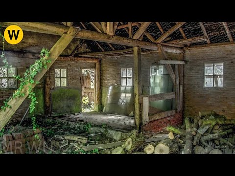 The girl was shocked to see that the house had not been cleaned for 10 years | clean the bedroom