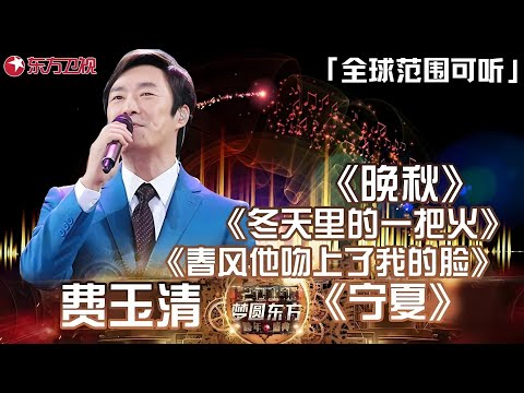 2025年接近尾声,东方卫视费玉清跨年翻唱歌曲合集,《晚秋》《宁夏》《冬天里的一把火》《春风它吻上了我的脸》一次听到爽！#费玉清 #东方卫视跨年晚会