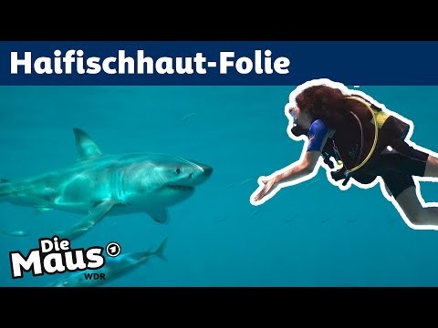 Wie sparen Flugzeuge mit Haifischhaut-Trick Treibstoff? | DieMaus | WDR