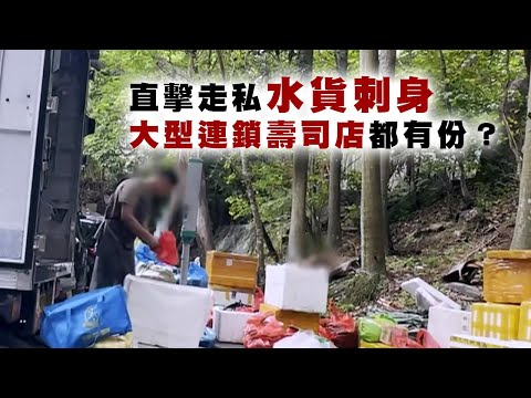 東張西望｜直擊走私水貨刺身 大型連鎖壽司店都有份？
