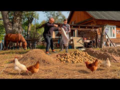Off-Grid Ukrainian Farm Life 🐄 | Homemade Dairy & Harvest Work