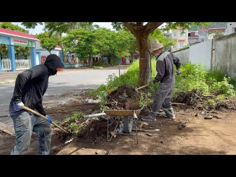 I REVIVED This Sidewalk from Garbage Dump to Walkway Paradise!