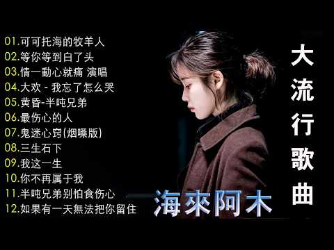 「2026华语热歌」50首越听越心碎的情歌: 沒有你陪伴真的好孤單/可可托海的牧羊人/不过人间.2026中国大陸流行歌曲 不能不听的50首