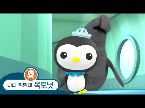 바다 탐험대 옥토넛 - 거대한 코끼리바다표범 & 바다코끼리 대장 - 모음집