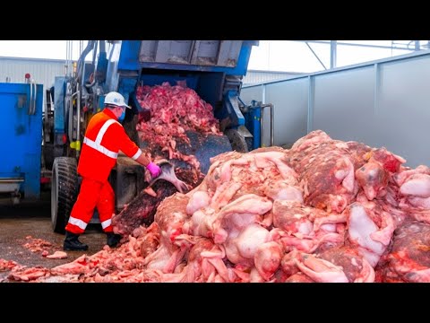 10 produtos que você deixará de comprar quando souber do que são feitos