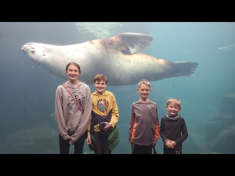 Sealife Center Adventure in Seward Alaska & Watching The Bad Guys Movie