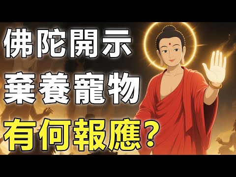 棄養寵物有何報應？佛陀僅用一句話，道出了六道輪回因果！【萌寵|因果|輪回】
