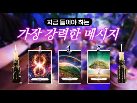 지금 도착한 가장 강력한 메시지 🔮 타임리스 사이킥 타로 리딩 𓂀✴︎
