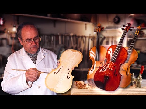 VIOLIN handcrafted by an expert LUTHIER. Step by step manufacturing of this instrument