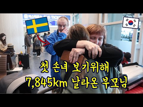 Swedish Parents Flew 7,845km To Meet Their First Grandchild! (ENG SUB)