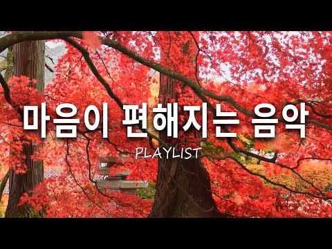 🍁Music that soothes the soul, music for strolls and café vibes, piano playlist