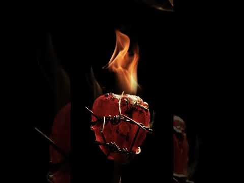 new single coming soonnn❤️‍🔥❤️‍🔥