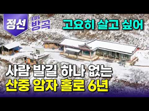 [강원 정선] "불편하게 사는 게 편안한 것" 고독과 외로움 즐기고 싶어 휴대전화도 안 되는 해발 870m 골짜기 암자 홀로 6년째 수행하는 스님｜단임골｜#한국기행 #방방곡곡