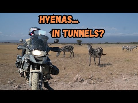 KENYA - I rode with Lions and Hyenas (not clickbait) - Australia to England by motorcycle - ep9