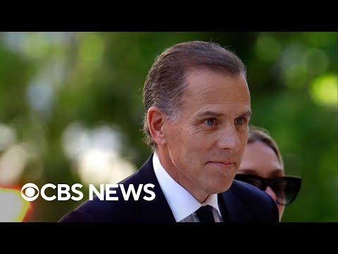 Defense in Hunter Biden's gun trial rests its case