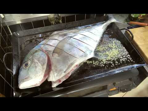 夕食ライブ 2025.12.7 イトヒキアジ