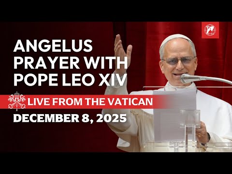 LIVE | Pope Leo XIV's Angelus Prayer from the Vatican | December 8, 2025