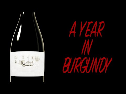 A Year in Burgundy | Full Documentary | FOOD & WINE