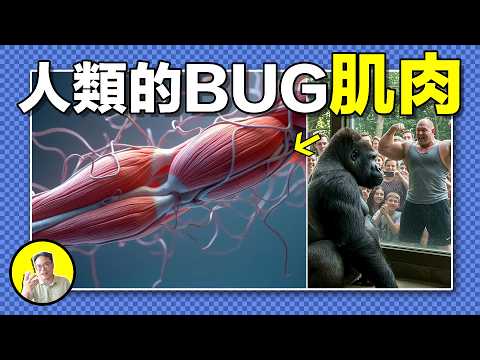 拼命擼鐵也不如牛？『吝嗇鬼』祖先為保命鎖死肌肉生長。生酮背後的3大Bug與水猿假說，探尋人體能源進化真相！｜總裁聊聊