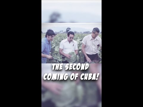 The second coming of Cuba! #shorts