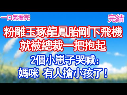 粉雕玉琢龍鳳胎剛下飛機就被總裁一把抱起2個小崽子哭喊：媽咪 有人搶小孩了！#甜寵文#愛情#爽文#故事分享