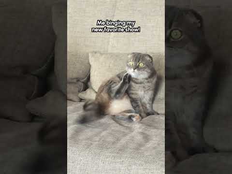 Watching the end of #StrangerThings part 1 right before Thanksgiving dinner like: