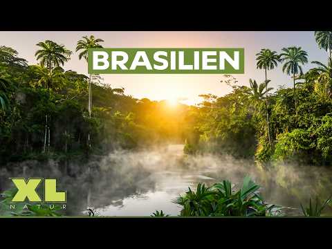 WUNDERWELT Brasilien: Entdeckung der spektakulärsten Naturphänomene | XL Doku
