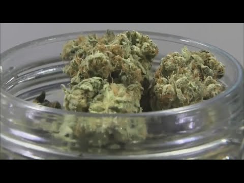 Businesses react to Trump's executive order on marijuana reclassification