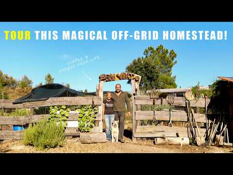 Living On The Land: Building An Off-Grid Self-Sufficient Paradise!