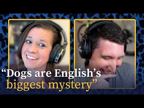 Why is the word "dog" such a mystery? | ANIMAL WORDS
