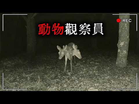 我是《動物觀察員》，工作是給奇怪的動物拍照！