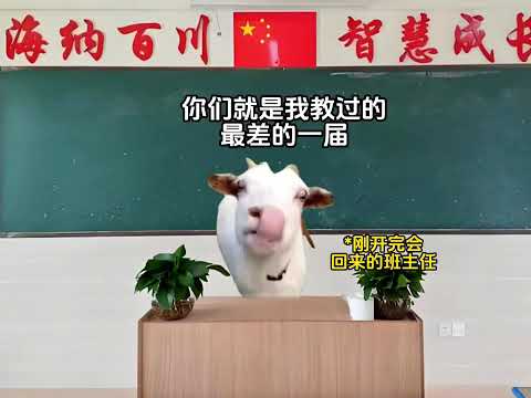 猫meme的日常-当老师在上面批评 你直接晕倒！！！#猫meme #猫meme小剧场 #猫meme剧场 #内容过于真实 #搞笑