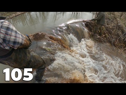 Manual Beaver Dam Removal No.105
