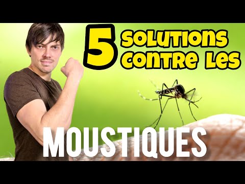 Comment la LOW-TECH supprime votre problème de MOUSTIQUES #GUPPYTRAP