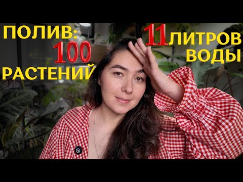 WINTER PLANT CARE | HOW and WHAT I WATER my plants with | Green VLOG