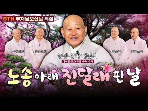 💥[최초] 대한불교조계종 최고어른!!종정예하 중봉성파대종사와 네스님들이 만났다!! |BTN부처님오신날 특별대담 노송 아래🌸진달래 핀날