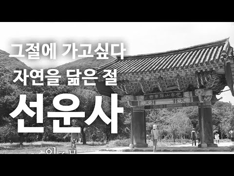 자연을 닮은 절 선운사 [그 절에 가고싶다]