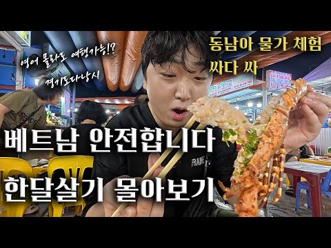 베트남 안전합니다 한달 살기 몰아보기🇻🇳