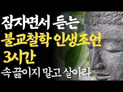 잠자면서 듣는 부처님 말씀 | 자면서 듣기만 하세요 | 마음이 편안해 지는 부처님 명언 | 잠자면서 듣는 석가모니 인생조언 모음 3시간 | 행복한 노후 #법륜스님즉문즉설