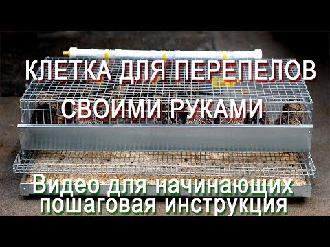 Клетки для перепелов своими руками. МОИ перепела
