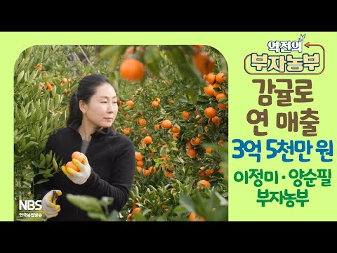 [역전의부자농부 281회] 감귤로 연 매출 3억 5천만 원! 제주 서귀포 이정미·양순필 부자농부