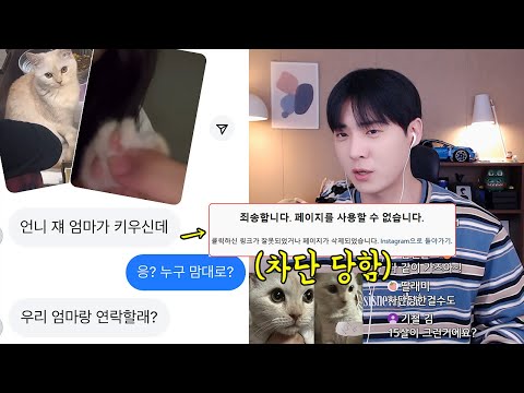 작정하고 고양이 뺏으려는 친구때문에 흑화한 주인..