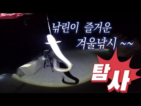 낚린이 즐거운 겨울낚시~~ 탐사  감성돔 5자 소문 듣고 찾아감