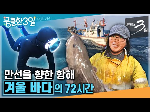 [다큐3일★Full] 거칠고 시린 겨울에도 바다에서 꿈을 꾸며 살아가는 사람들의 이야기🌊 ‘겨울 바다'의 72시간 | KBS 방송