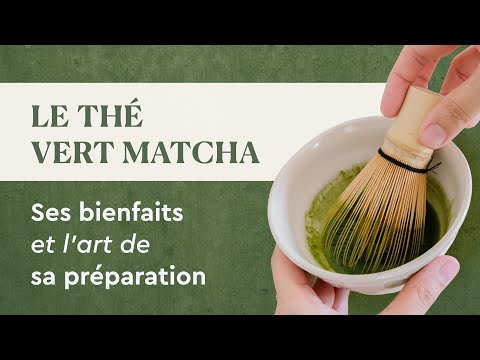Tout savoir sur le Matcha : Bienfaits, contre-indications et préparation (Guide complet)