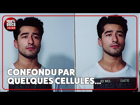 ADN : de micro cellules qui l'envoient... EN CELLULE